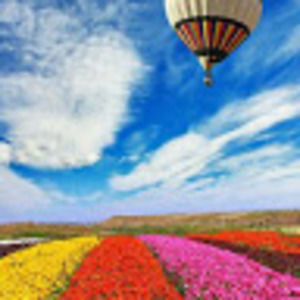 Meet your Posher, Fardowsa